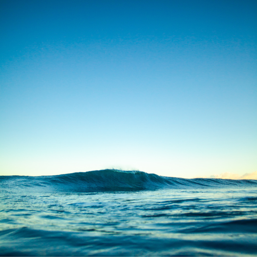 Perfect wave in a surf guiding session